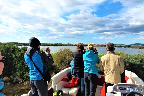 17971-birdwatching-and-nature-cruise-in-ria-formosa-1678125405