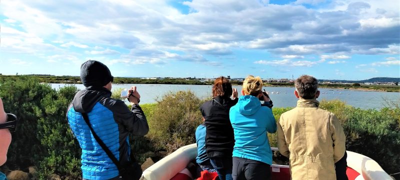 17971-birdwatching-and-nature-cruise-in-ria-formosa-1678125405