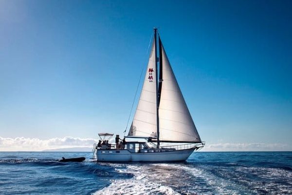 18091-funchal-bay-boat-tour-with-lunch-1677773590