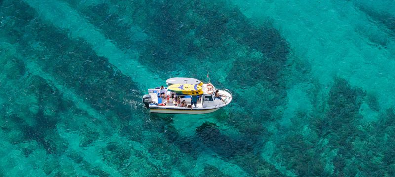 18163-private-boat-tour-sesimbra-luiz-saldanha-marine-park-1678016089