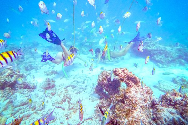 18600-snorkel-in-punta-cana-1678637388