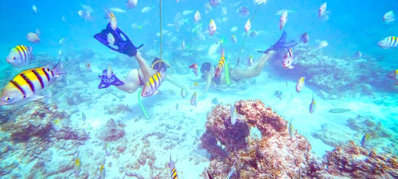 18600-snorkel-in-punta-cana-1678637388