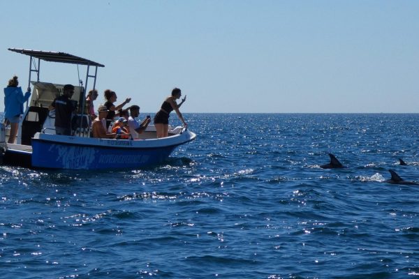 18928-dolphin-watching-in-arrabida-national-park-1679428244