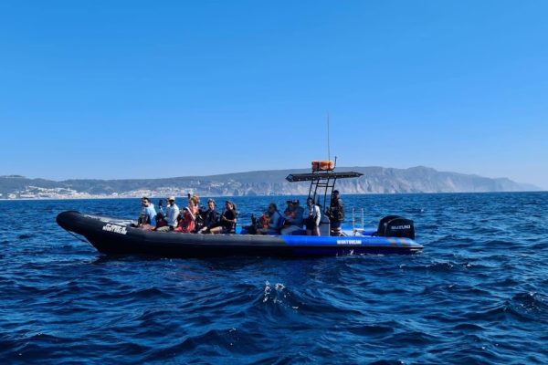 18933-dolphin-watching-in-arrabida-national-park-1679430615