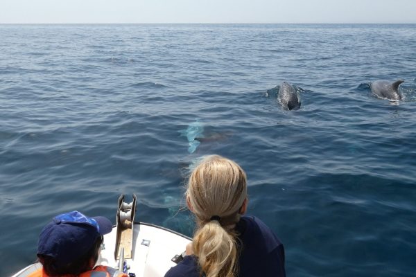 18940-dolphin-watching-in-arrabida-national-park-1679430615