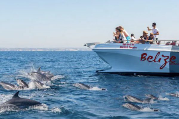 20692-dolphins-and-benagil-cave-catamaran-tour-1686145570