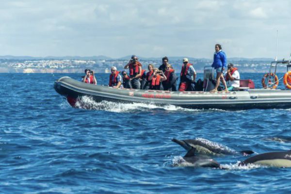 20726-benagil-dolphin-on-a-rib-boat-from-albufeira-1686155868