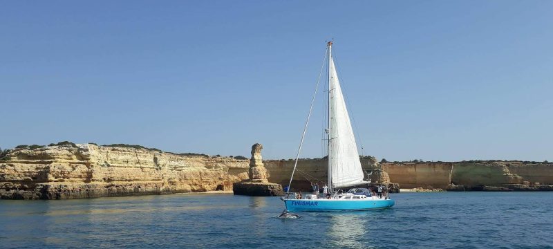 2192-cover-for-half-day-sailing-tour-albufeira-1575397889