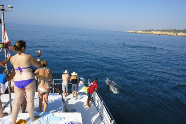 22039-vilamoura-dolphin-watching-1696155007