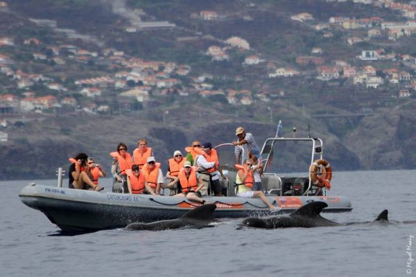 222-boat-trips-in-madeira-1575396991