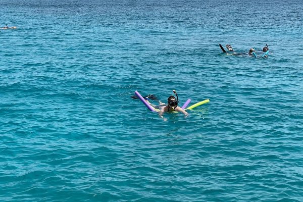 22417-snorkeling-in-st-thomas-1699097001