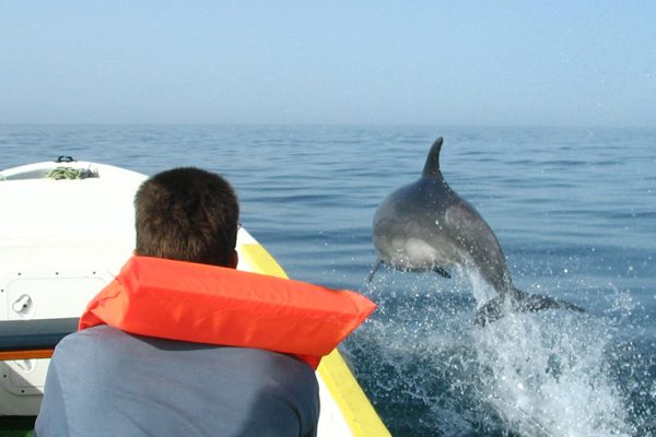 2247-cover-for-boat-tour-to-the-dolphins-in-olhao-1604331766