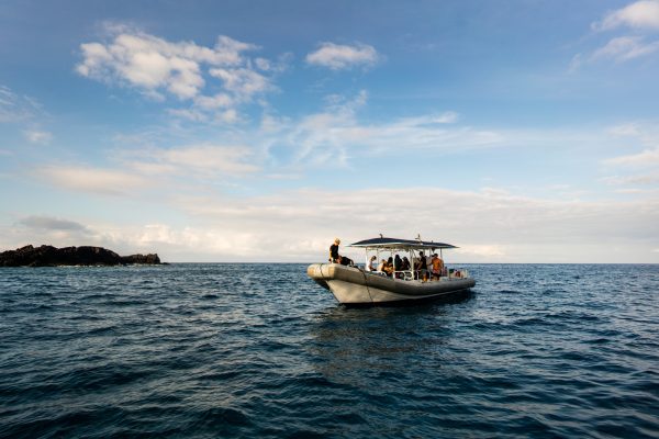 22698-speedboat-tour-hawaii-1699632879