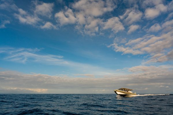 22710-speed-boat-tour-in-hawaii-1699632880