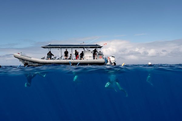 22768-speedboat-snorkeling-tour-in-hawaii-1699798408