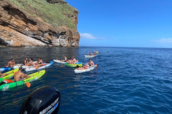 22900-kayak-tour-in-funchal-1700061409