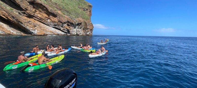 22900-kayak-tour-in-funchal-1700061409