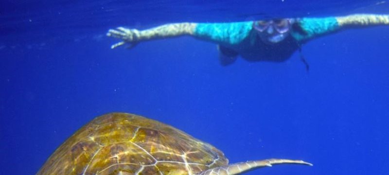 2324-cover-for-snorkeling-in-tenerife-with-turtles-1575397953