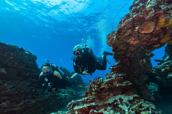 23317-reef-diving-and-snorkeling-tour-in-honolulu-1700488143