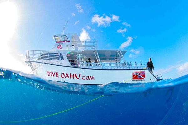 23400-boat-tour-in-hoolulu-1700485851