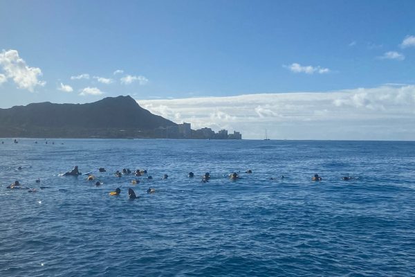 23423-diving-trip-honolulu-1700499637