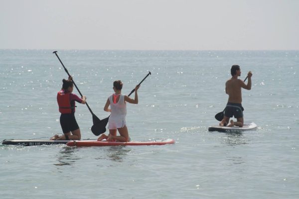 2397-cover-for-stand-up-paddle-tour-in-alicante-1575397985