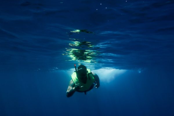 Hawaii Nautical