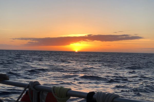 24186-sunset-sailing-tour-in-kona-1701538281