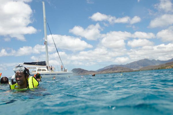 24236-snorkeling-with-marine-life-in-hawaii-1701684584