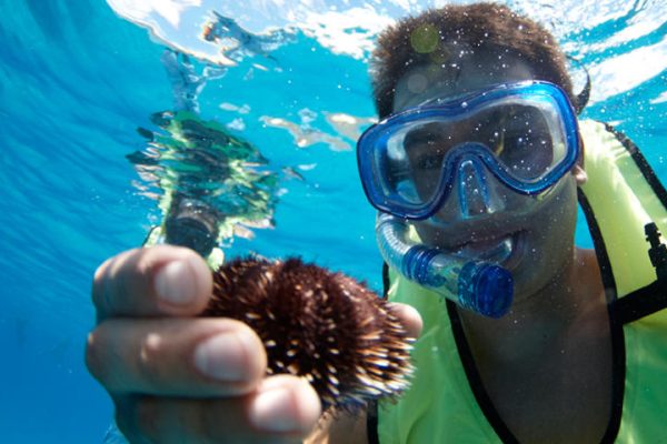 24237-snorkeling-tour-in-honolulu-1701684584