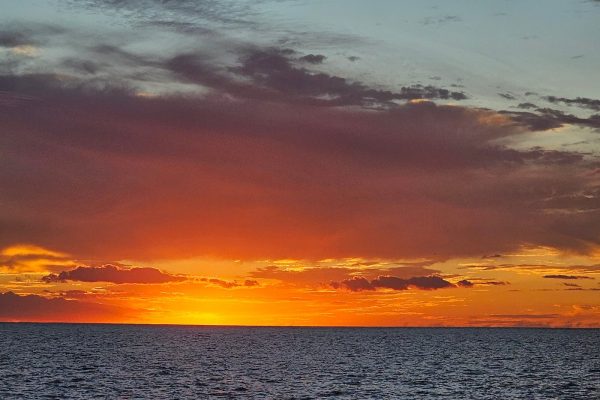 24277-sunset-catamaran-trip-honolulu-1701699659