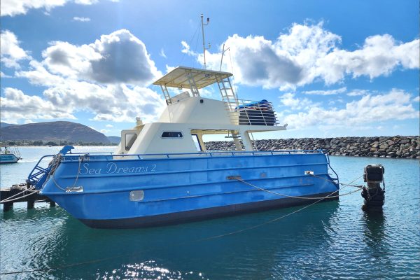 24285-speedboat-tour-in-waianae-1701701494