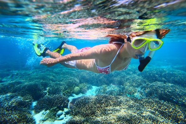 24296-snorkeling-tour-in-hawaii-1701705887