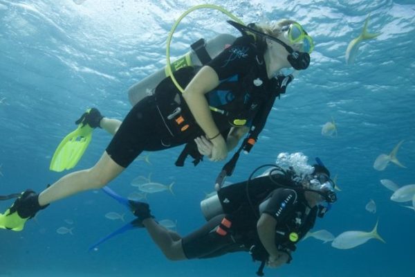 2559-cover-for-scuba-diver-course-in-gran-canaria-1575398064