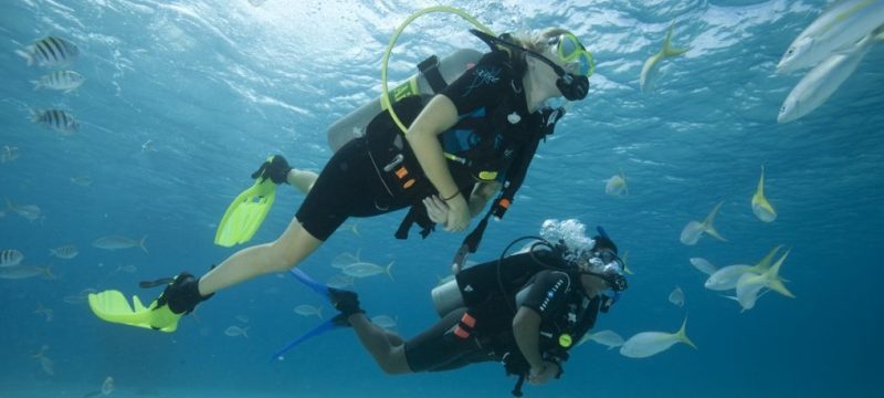 2559-cover-for-scuba-diver-course-in-gran-canaria-1575398064