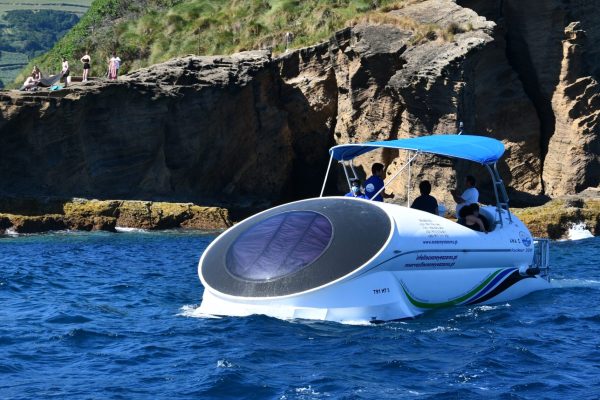 25608-private-glass-bottom-boat-tour-in-azores-1712224731