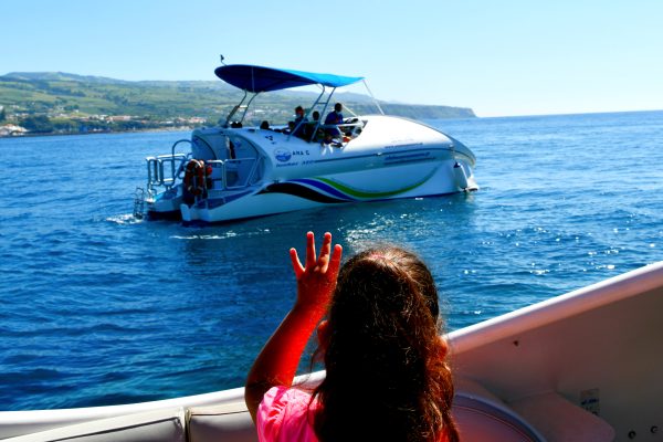 25609-private-glass-bottom-boat-tour-in-azores-1710263298