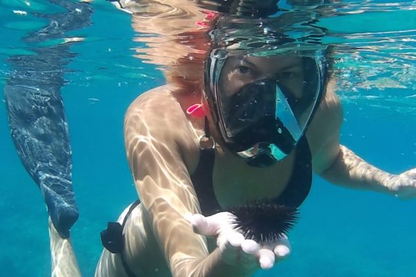 2575-cover-for-snorkeling-in-crete-1575398072