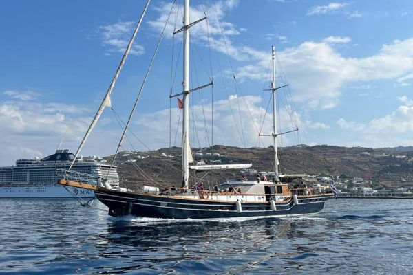 26146-mykonos-south-beaches-rhenia-and-delos-islands-boat-tour-1712573992