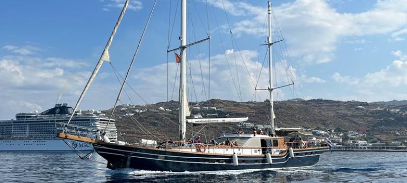 26146-mykonos-south-beaches-rhenia-and-delos-islands-boat-tour-1712573992