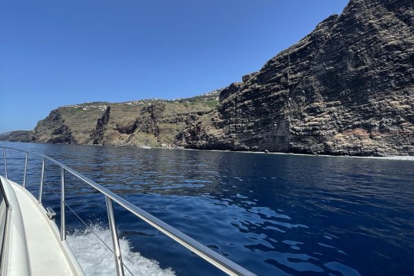 26268-private-cruise-to-desertas-islands-1713788285