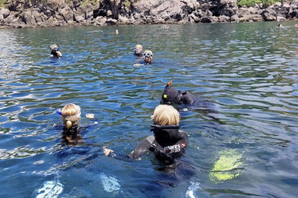 26317-snorkeling-in-the-azores-1714656732