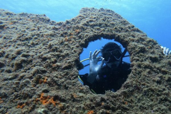 26319-first-time-scuba-diving-in-azores-1714656998