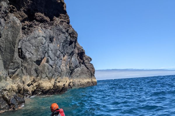 26511-madeira-coasteering-experience-1716484746