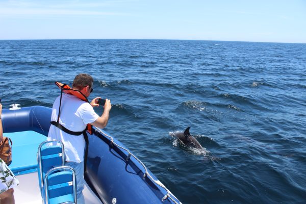 2654-coast-and-dolphins-in-lagos-1575398116