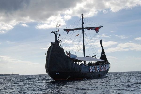 3194-whale-and-dolphin-watching-from-a-viking-ship-in-tenerife-1575398382