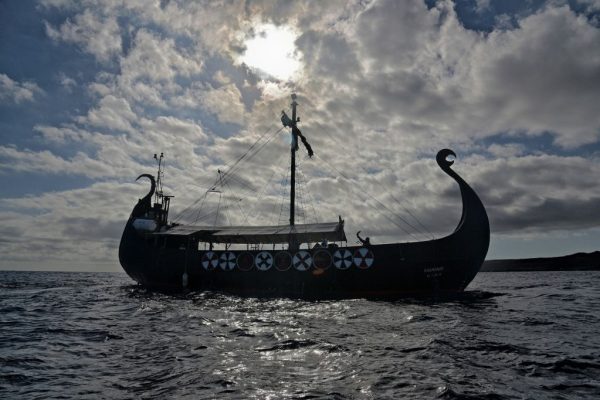 3197-whale-and-dolphin-watching-from-a-viking-ship-in-tenerife-1575398383