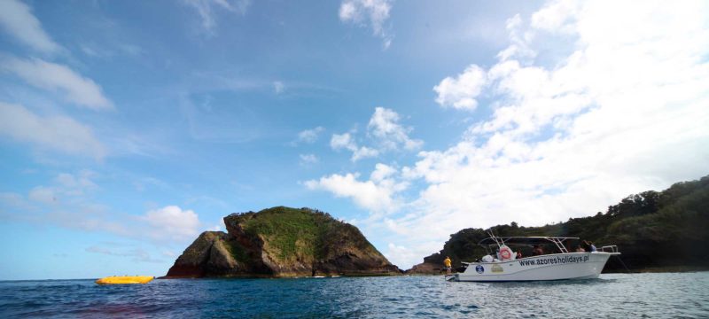 3210-boat-tour-azores-1575398389