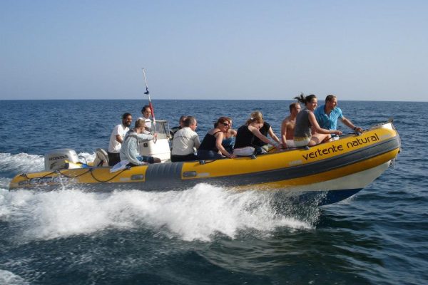 326-boat-tour-in-sesimbra-1582795907