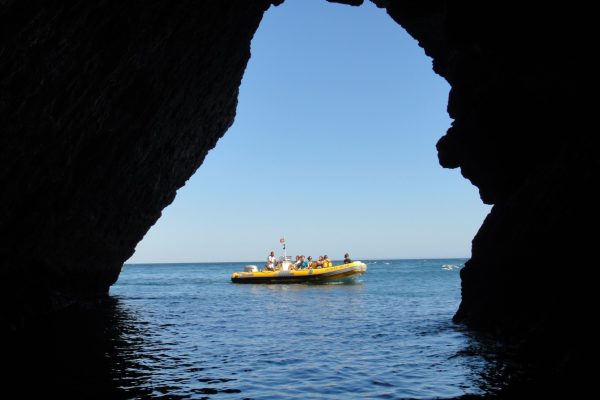 327-boat-tour-in-sesimbra-monk-fish-cave-1593097587